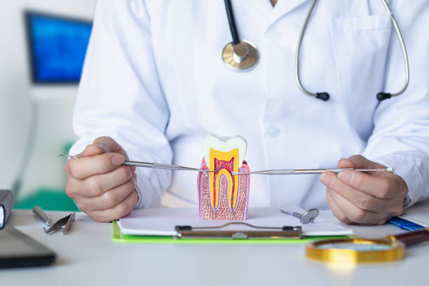 Best Emergency Root Canal Therapy in South Pekin, IL